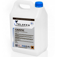 CAUSTIC 13кг